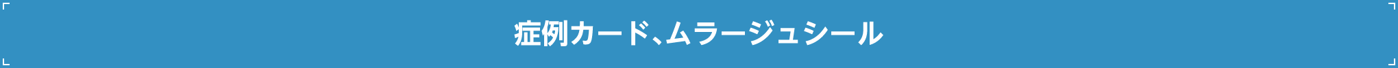 症例カード、ムラージュシール